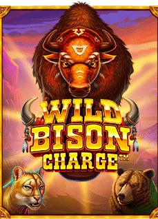 รีวิว เกม ไพ่ แค ง y8 สนุก ทำเงินได้จริง!