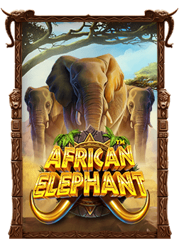 เกม ไพ่ ได้ ตัง: วิธีเล่นและเทคนิคสำหรับผู้เล่นใหม่